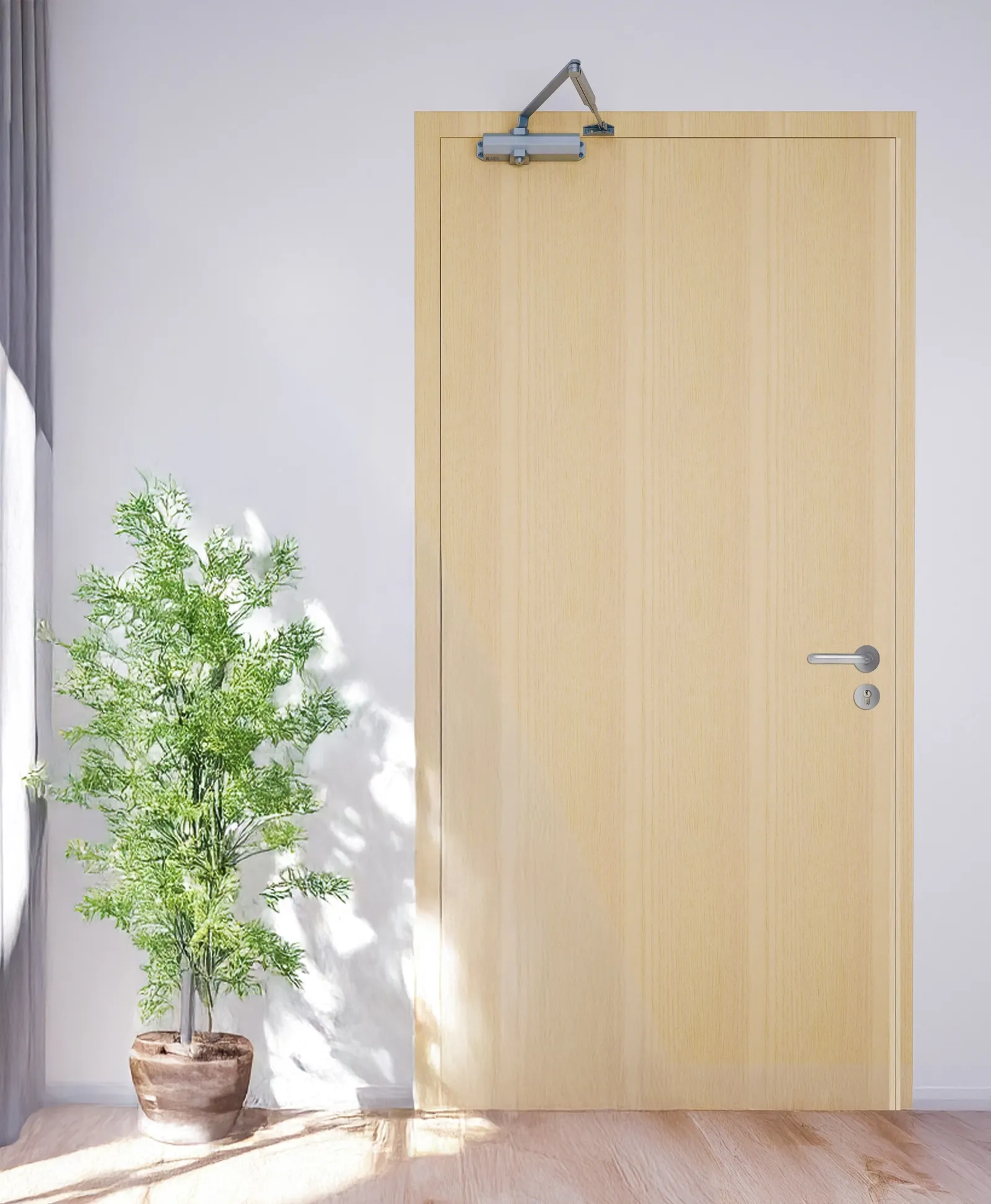 Timber door with an overhead door closer